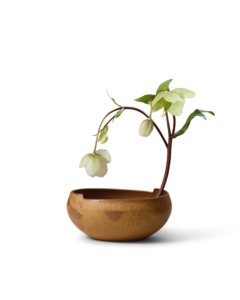 Kora Bowl