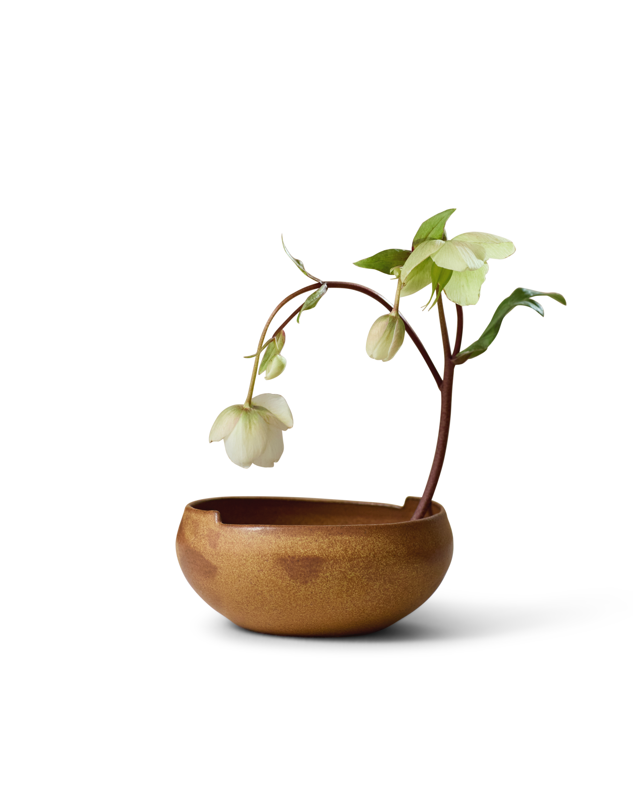 Kora Bowl