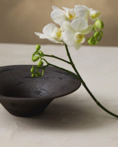 Aya Bowl