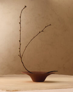 Aya Bowl